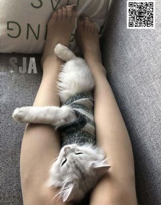 又大又粗又硬又爽又黄毛片视频_蓝光免费观看电视剧